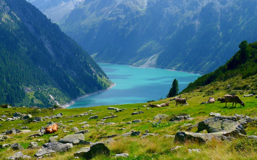 Blick auf Zillertal in Tirol