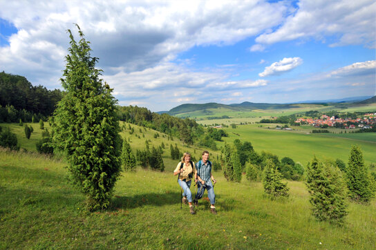 Wiesenthaler Schweiz Arnulf Müller Rhön GmbH