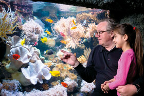 Opa mit Kind C SEA LIFE