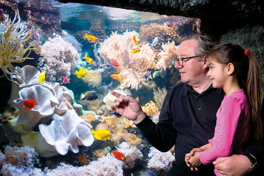 Opa mit Kind C SEA LIFE