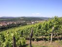 Bärenstarke Tage im schönen Elsass