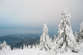 Winterstimmung