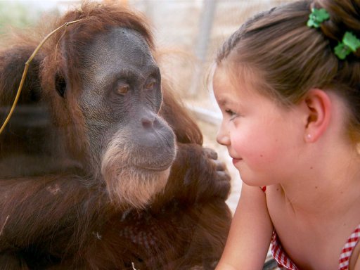 5 Tage Sommerurlaub im Pott, genial für Familien