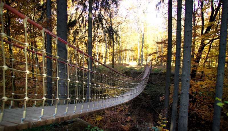 Hängebrücke im Binger Wald - Suspension bridge in the Bingen forest