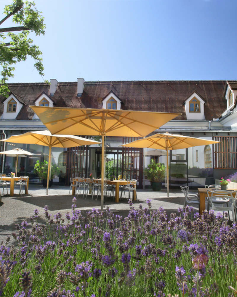 Innenhof Lavendel
