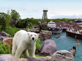 Faszinierende Reise in die Welt der Tiere