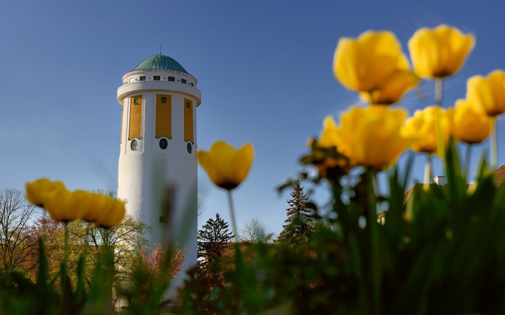 Wasserturm im Hockeheim