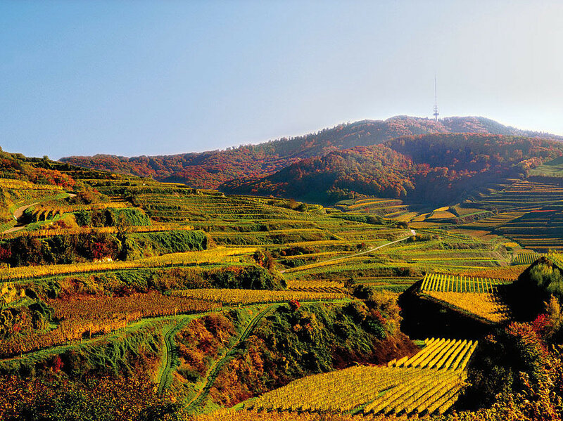 Kaiserstuhl Landschaft – Weinberge und Natur in Baden-Württemberg