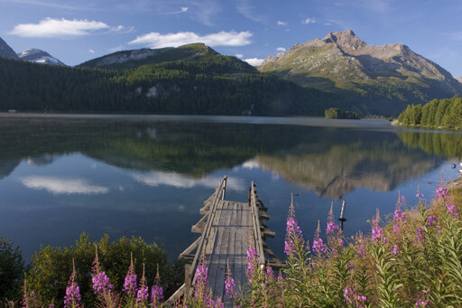 Naturpark Ela (Schweizer Alpen)