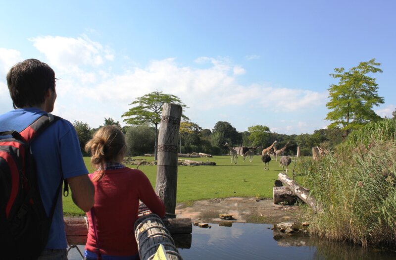Familie im Habitat Savanne