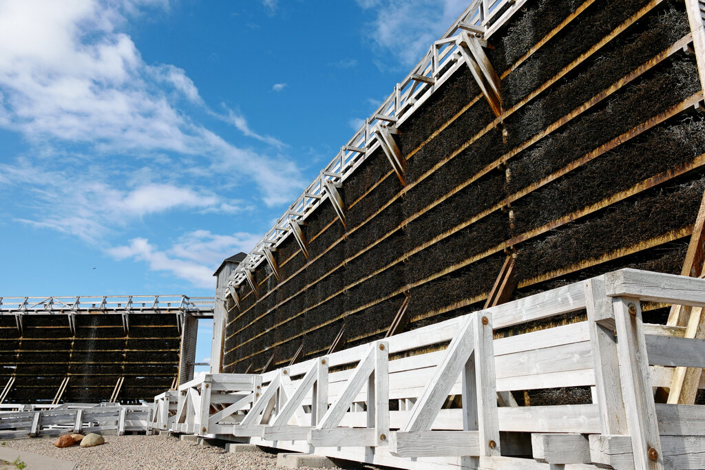 Bad Wilsnack in der Prignitz Gadiertherme @Stephanie Albert