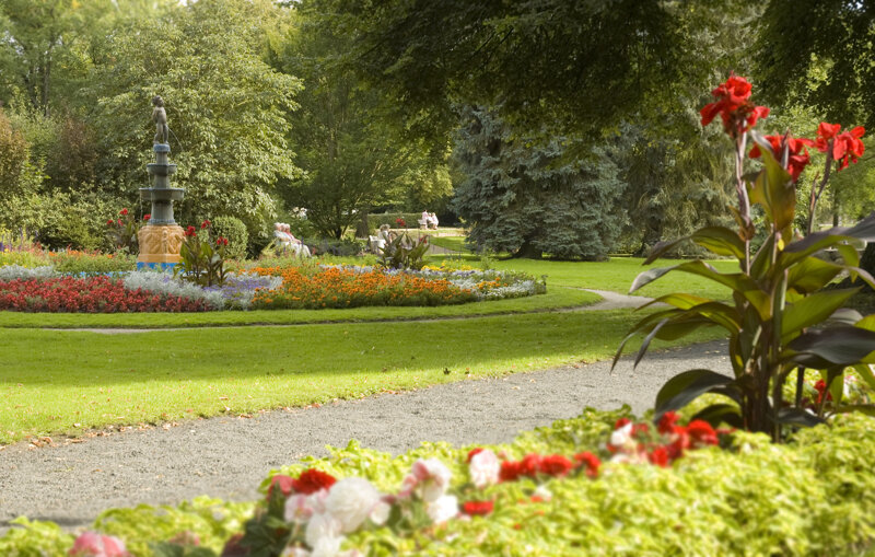 Kurpark Bad Salzschlirf – Seltene Bäume und Erholungswege