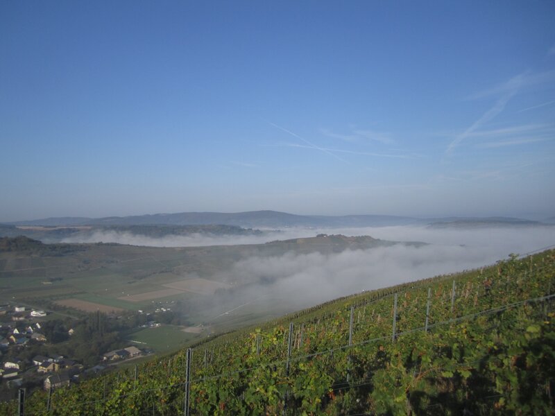 Stimmungsvolles Moseltal im Morgennebel – Landschaft rund um Kloster Machern