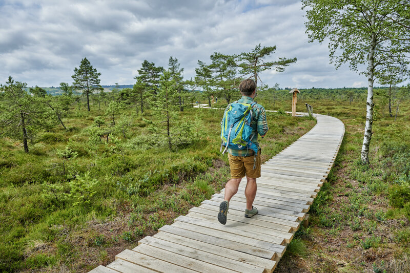 Das Schwarze Moor in der Rhön – Wandern