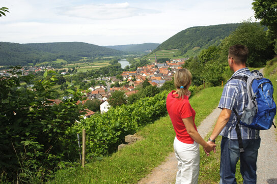 Spessart Blick ins Maintal