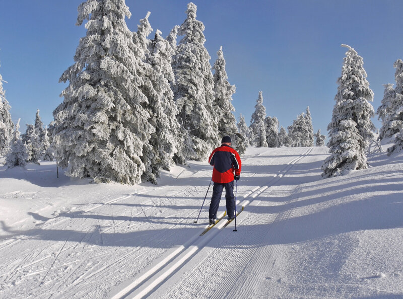 Lam Langlaeufer 01 4c