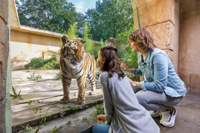Zoos