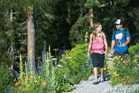 Wandern Alpinum Schatzalp Schatzalp 02 Stefan Schlumpf Destination Davos Klosters