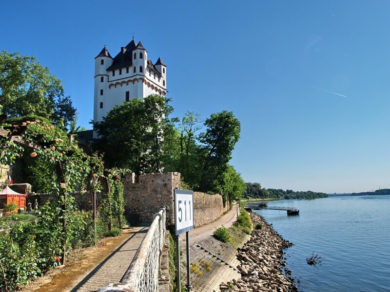 Eltville Kurfürstliche Burg und Rhein