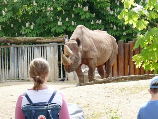 Bummeln Sie zu Fuß in Bernhards berühmten Zoo