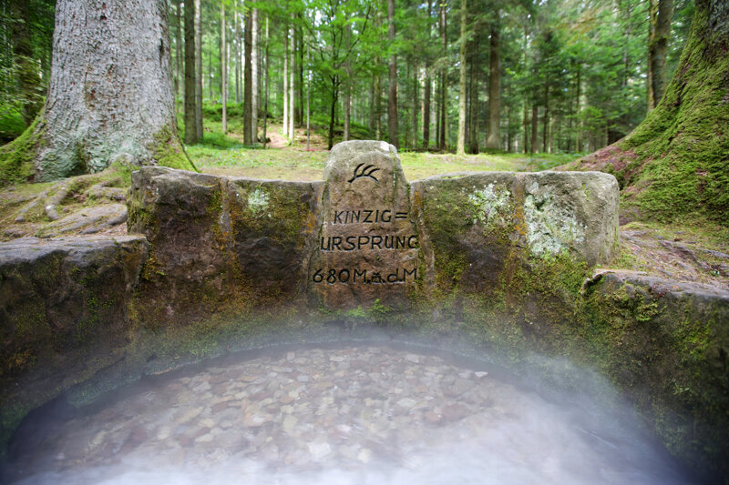 Kinzig-Quelle im Wald