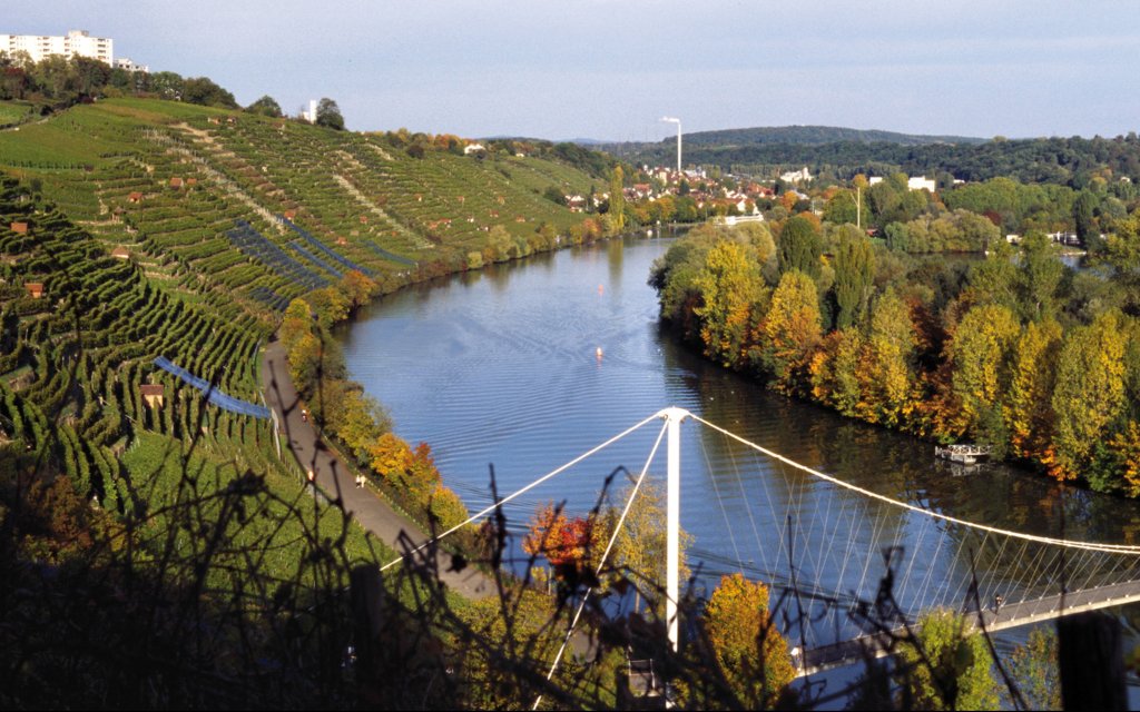 Neckar am Neckartal