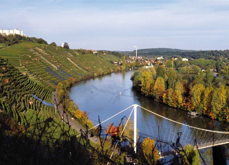 Weinberge am Neckar – typische Landschaft rund um Fellbach und Stuttgart