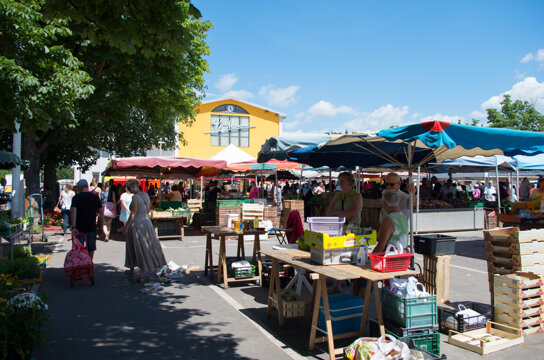 Mulhouse, Marché canal couvert c OTC Mulhouse et sa région