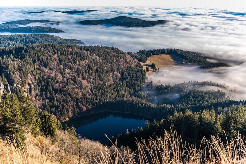 Feldsee unterhalb des Feldbergs im Schwarzwald