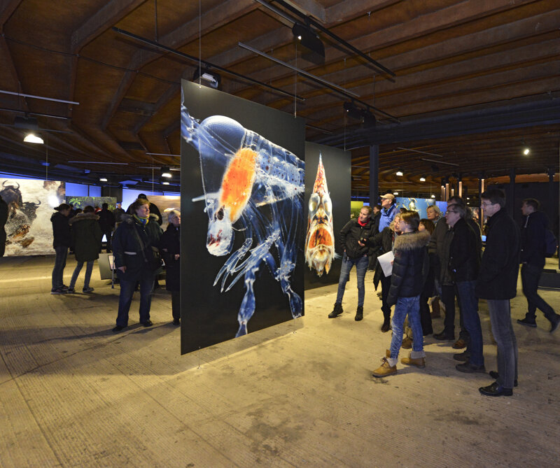 Kunstausstellung im Gasometer Oberhausen