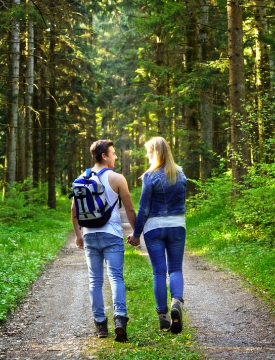 Wanderweg Waldachtal