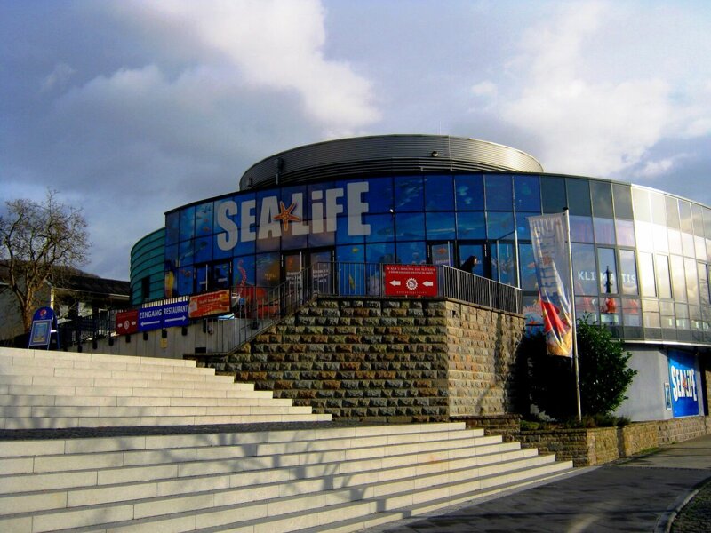 SEA LIFE Königswinter