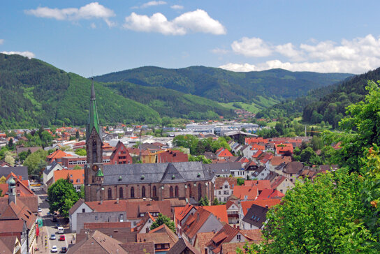 Panorama Hausach C Stadt Hausach