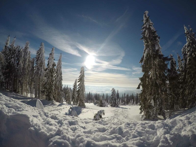 Dreisessel im Winter  Schnee