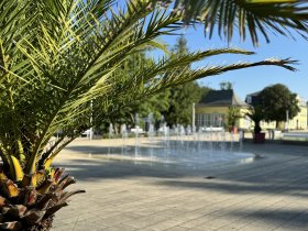 Palmen Brunnen  Promenade Andrea Goettling