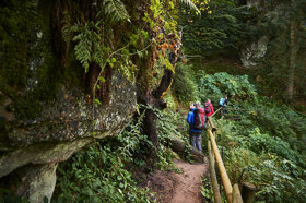 Durch die Wildniss Quelle Tourismusgemeinschaft Albtal Plus Fotograf Sven Lorenz