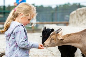 Mädchen im Streichelzoo (1)