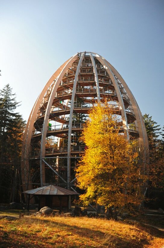 Turm mit Wendeltreppe des Baumwipfelpfades