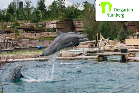 Tiergarten Delphinlagune