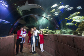 Familie C Sea Life Speyer