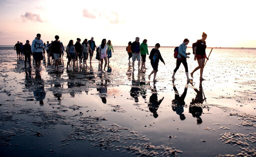 Nationalpark Wattenmeer