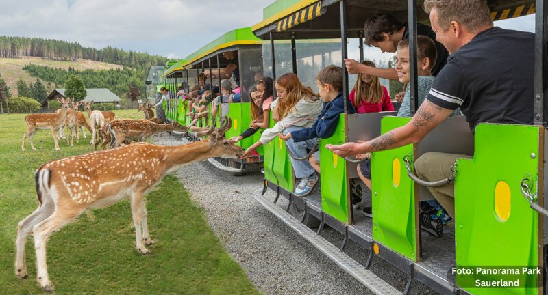 Tiere panorama park Sauerland