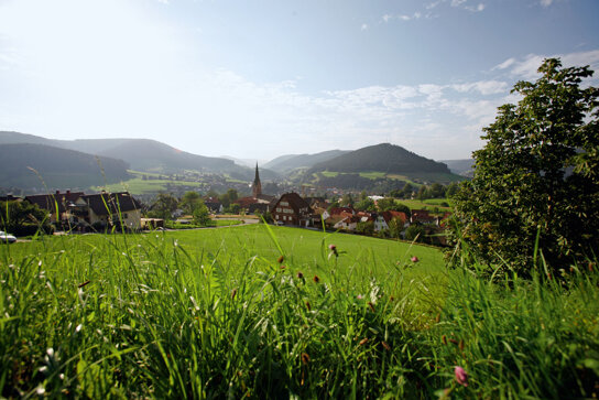 Ortsansicht Baiersbronn2 C Baiersbronn Touristik