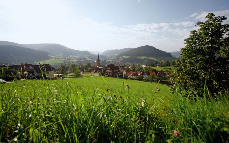Blick über Baiersbronn