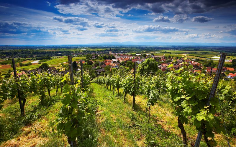 Auggen im Markgräflerland