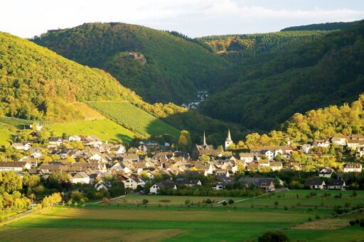 Veldenz an der Mosel