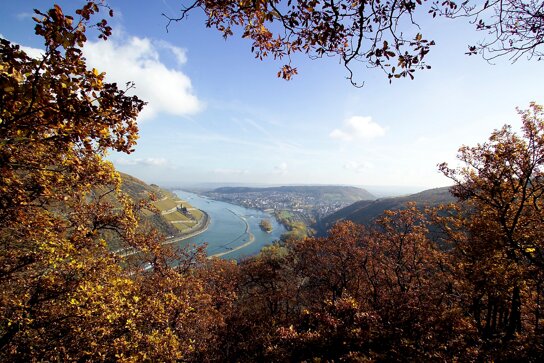 Ausblick auf den Rhein bei Bingen - View on the Rhine by Bingen