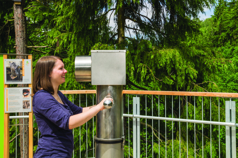 Baumwipfelpfad Bayerischer Wald – Aussichtspunkt auf dem Pfad