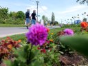 Blumenglück: Landesgartenschau in Thüringen