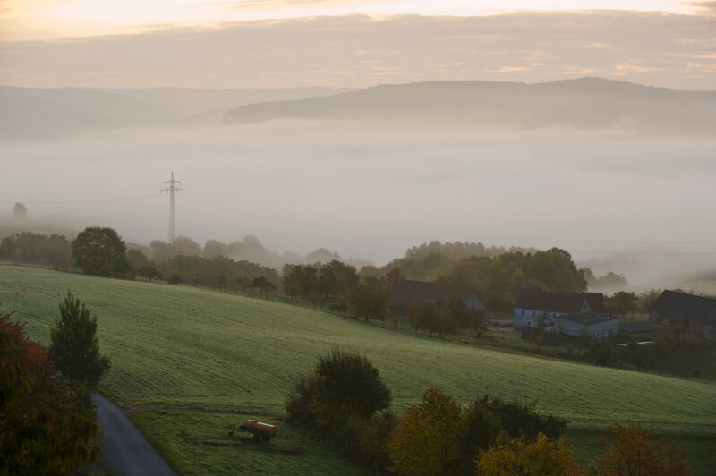 Spessart Morgennebel